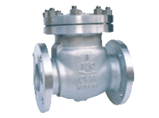 JIS��ANSI Check Valve150-600lb